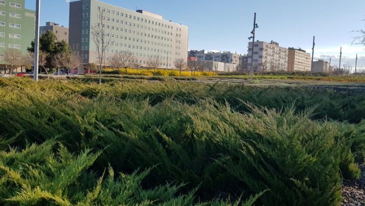 Valdespartera protesta contra el abandono de sus zonas verdes